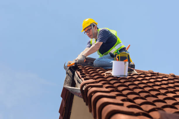 Steel Roofing in Hollins, VA